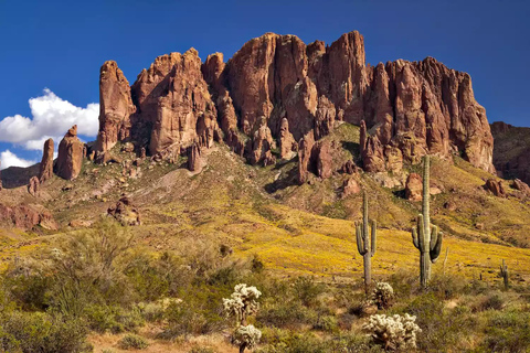 From Phoenix: Vortex to Vineyard Shared Tour Private Group 1-5