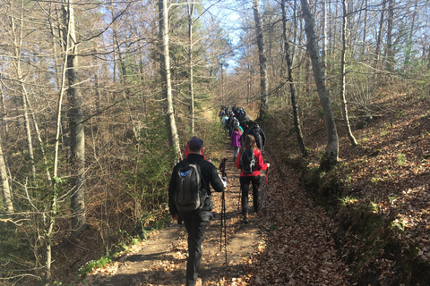 هونجكا: رحلة المشي لمسافات طويلة في جبل ميدفيدنيتسازغرب، هونجكا: نزهة لا تُنسى على جبل ميدفيدنيتسا