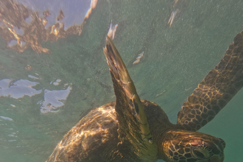 Galápagos: San Cristóbal 4-Day Tour with Snorkeling