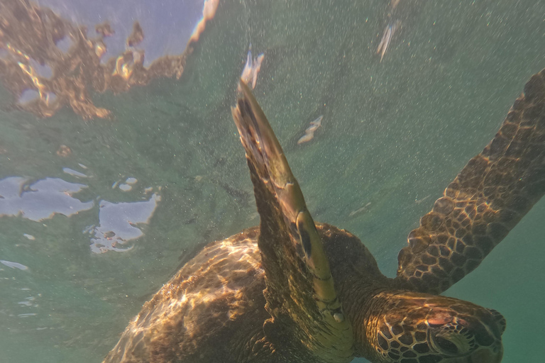 Galápagos: San Cristóbal 4-Day Tour with Snorkeling