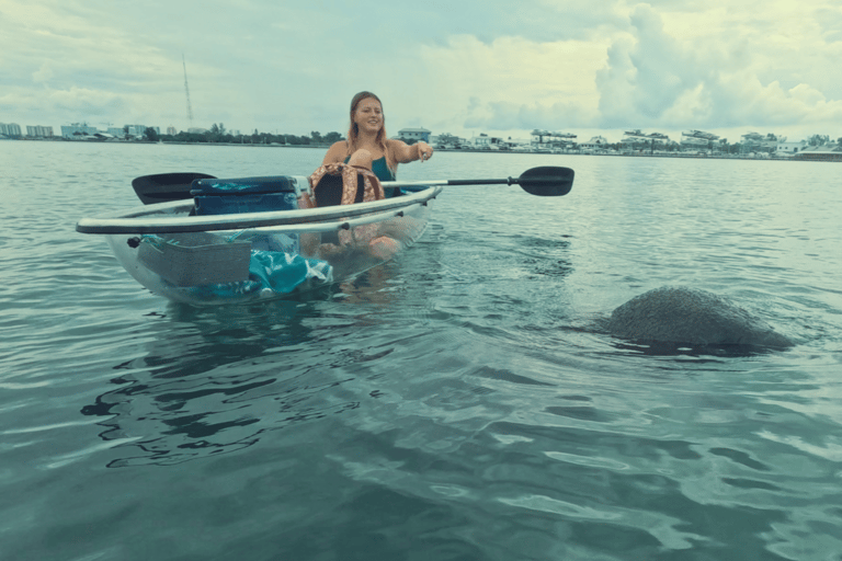 Sarasota: Clear Kayak Beach Hopping and Mangrove Tunnel Tour