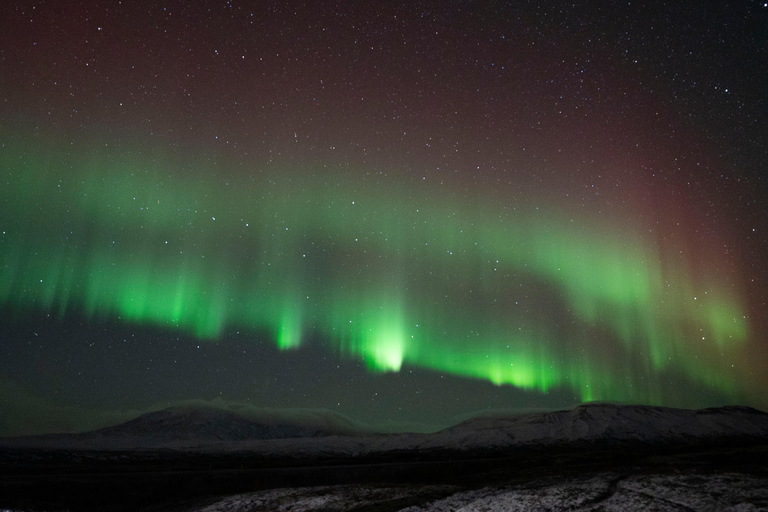 Reykjavik: autocarro confortável para ver as luzes do norte com presente localPasseio de autocarro para ver as luzes do norte a partir da paragem de autocarro n.º 12