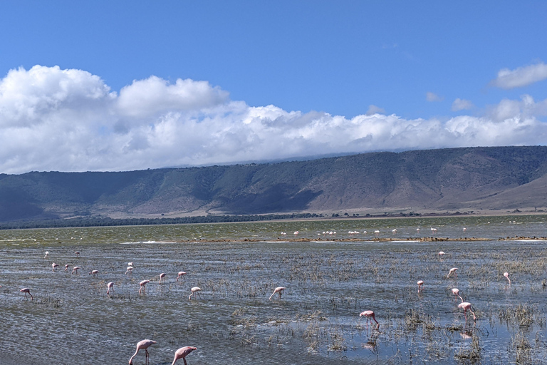 Moshi: dagtrip naar het Chala-meer met begeleide wandeling en lunch
