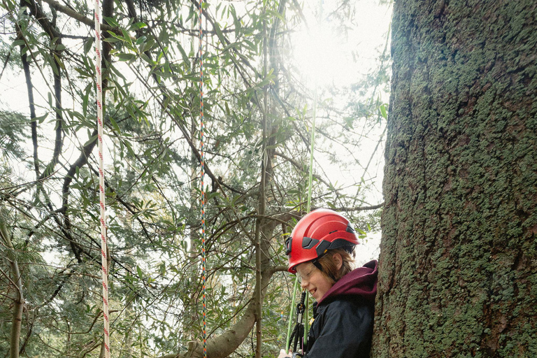 Vancouver Tree Climbing Tour: Canopy Expedition Adventure