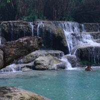 Luang prabang Elepphant keeper bathe option Kuangsi tour - Housity