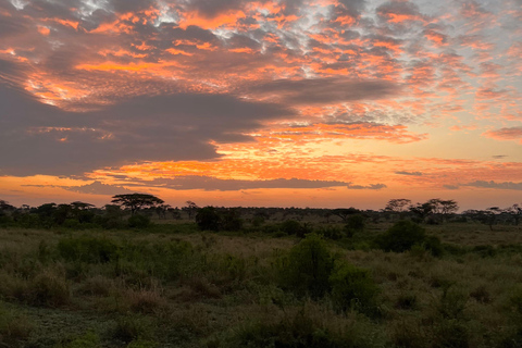 Från Zanzibar: Privat 4-dagars Serengeti &amp; Ngorongoro-safari