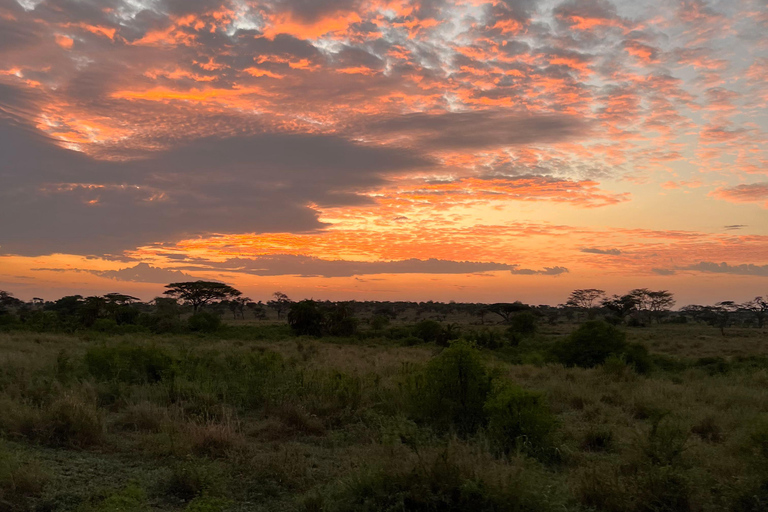 De Zanzibar: Safari Privado de 4 Dias em Serengeti e Ngorongoro