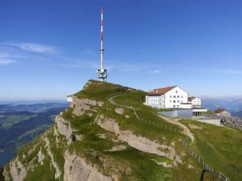 Da Zurigo: Escursione di un giorno a Rigi e al Lago dei Quattro Cantoni