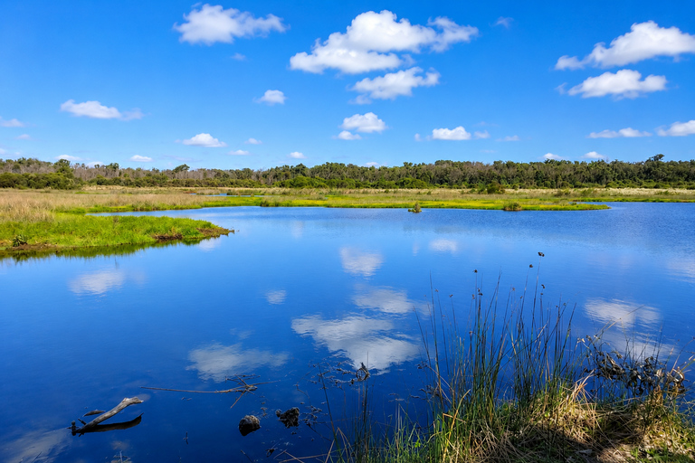 Koala, Lancelin, Wedge Island & Pinnacles Tour from Perth Pinnacles Desert, Sand Dunes, and Wedge Island Day Tour