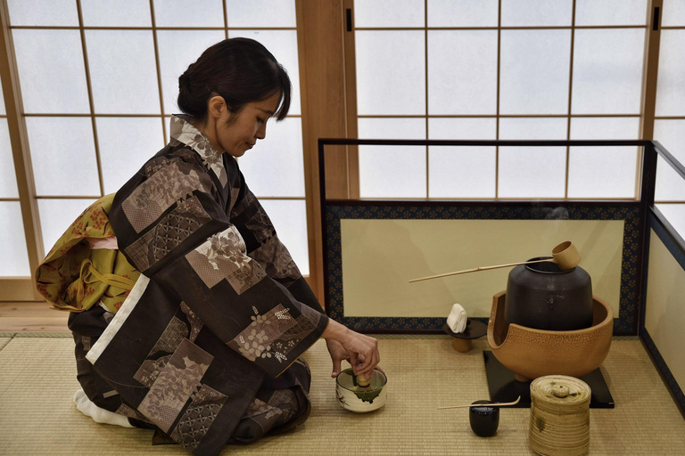 Kyoto: Guided Tea Ceremony, Garden, and Castle Tour Private Tour with Entrance Fees with Meeting Point