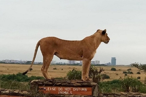 Nairobi National Park, Giraffe Center & Karen Blixen Museum