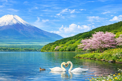 Tokyo: Mt Fuji & Arakurayama& Oshino Hakkai&Lake Kawaguchiko 8:00 AM | Shinjuku Station, West Exit