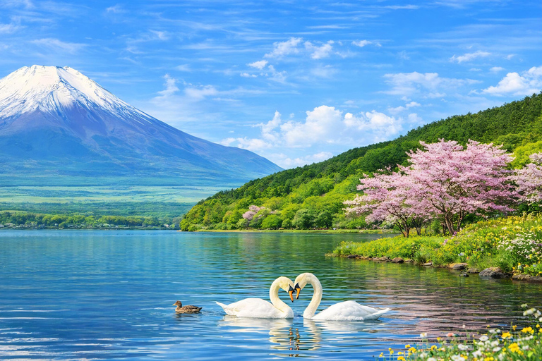 Tokyo: Mt Fuji & Arakurayama& Oshino Hakkai&Lake Kawaguchiko 8:00 AM | Shinjuku Station, West Exit