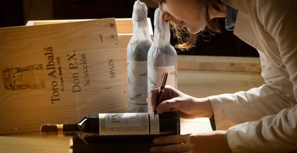 Córdoba: Visit and Tasting of Montilla-Moriles Wine at Bodegas Toro Albalá