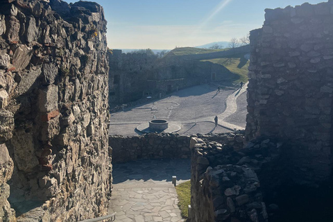 Bratislava: Devin Castle & Currant Wine Private Tour