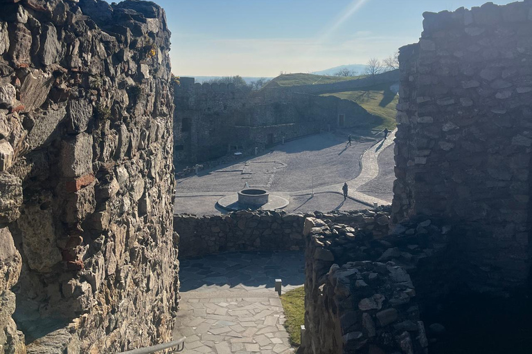 Bratislava: Devin Castle & Currant Wine Private Tour