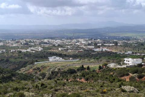 Hammamet: Guided quad tour through the Hammamet hinterland - quad riding Hammamet: Quad riding / Quad tour through the Hammamet hinterland