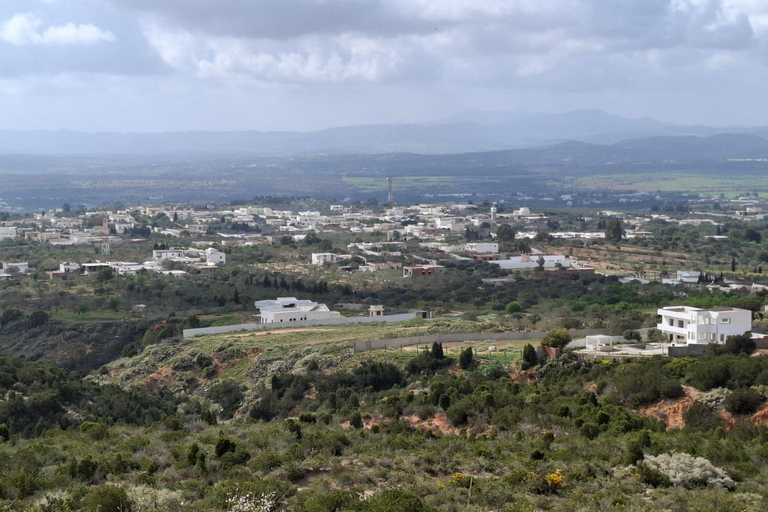 Hammamet: Guided quad tour through the Hammamet hinterland - quad riding Hammamet: Quad riding / Quad tour through the Hammamet hinterland