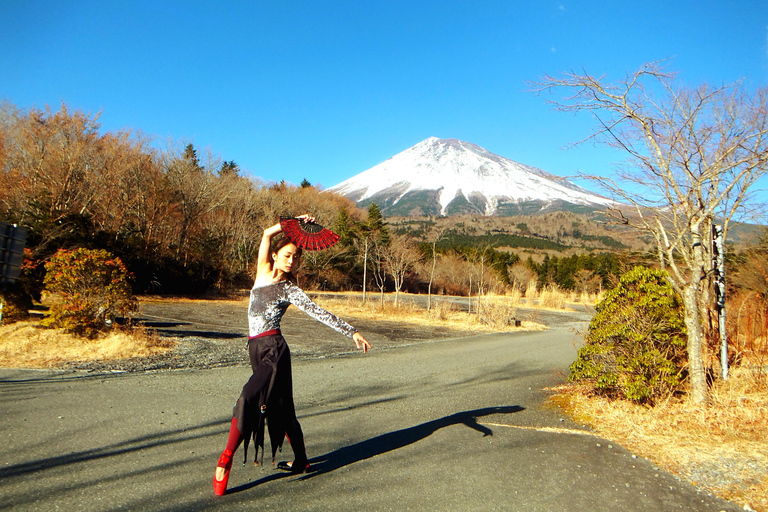 Tokyo: Mount Fuji Private Customizable Tour In Luxury Van