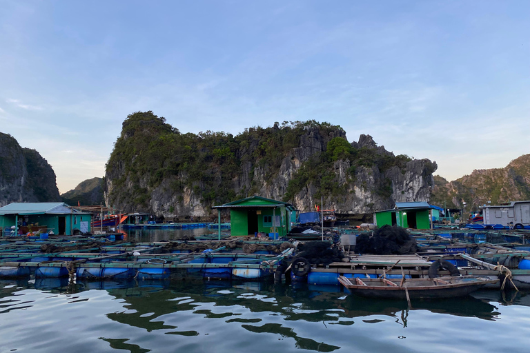 Cat Ba : tour en bateau de Lan Ha en kayak pour observer le plancton bioluminescent