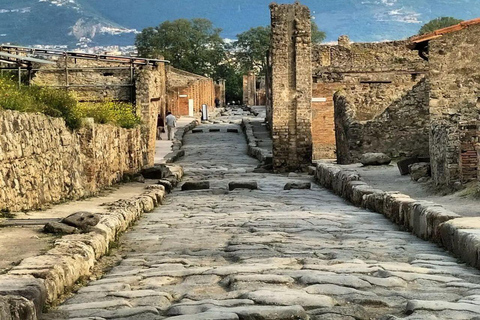 Pompei and Herculaneum: Skip the Line Entry + Audioguide
