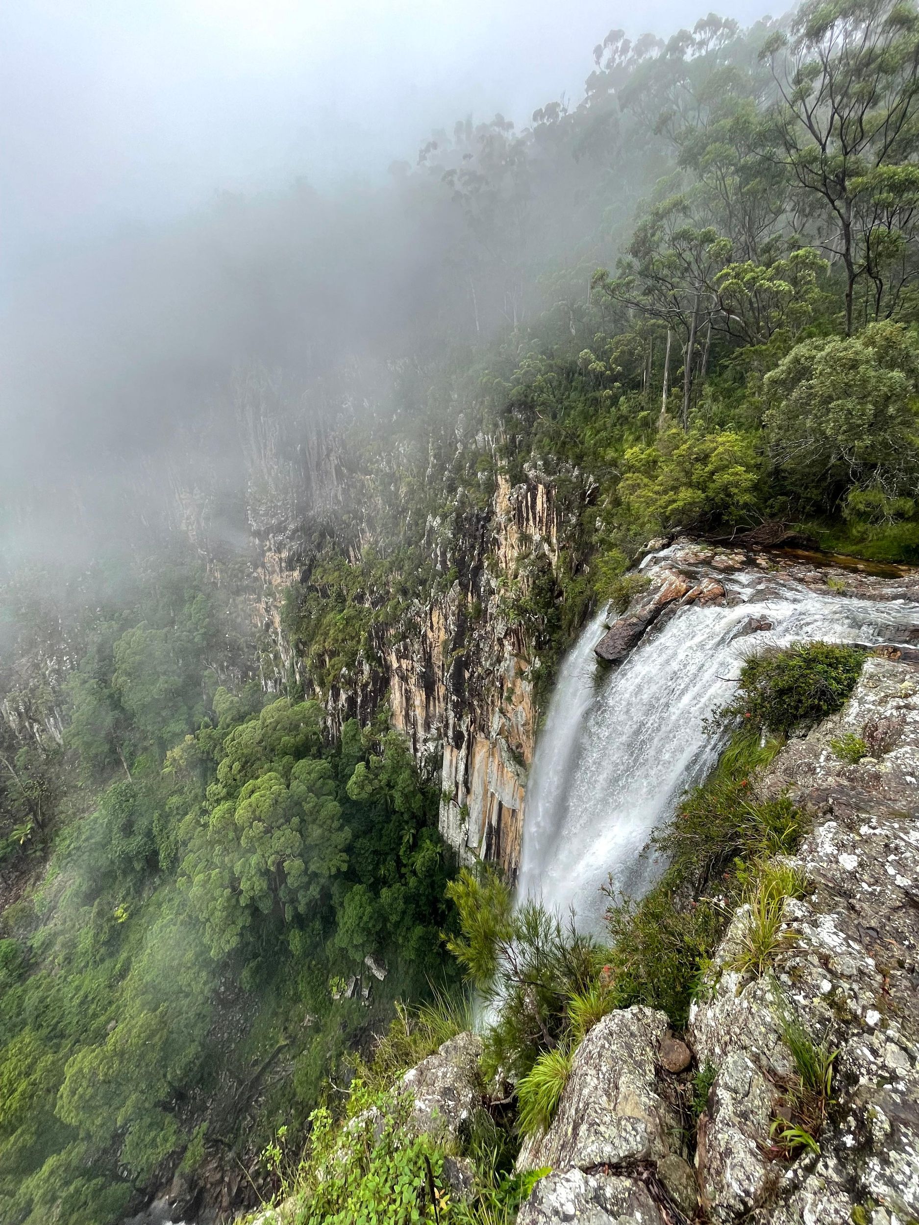 Minyon-Wasserfall-Regenwald-Tour