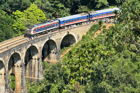 Sri Lanka: 6-Day Cultural & Coastal Adventure Tour