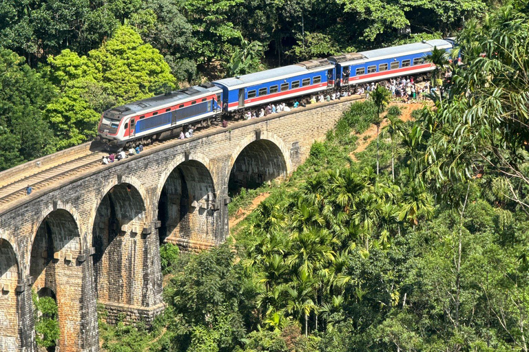 Sri Lanka: 6-Day Cultural & Coastal Adventure Tour