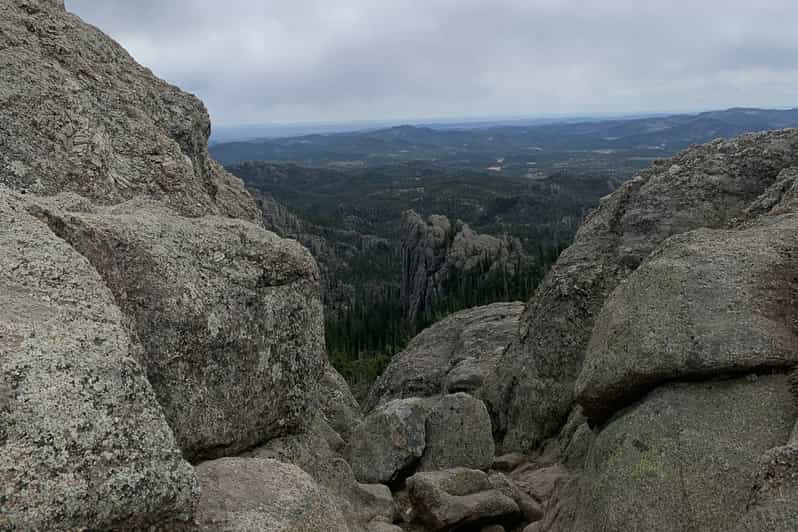 From Rapid City Custer State Park Private Safari and Hiking GetYourGuide