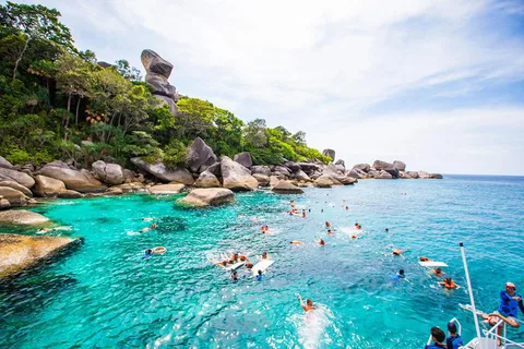 Au départ de Krabi : Excursion en bateau rapide pour la plongée en apnée dans les îles Similan