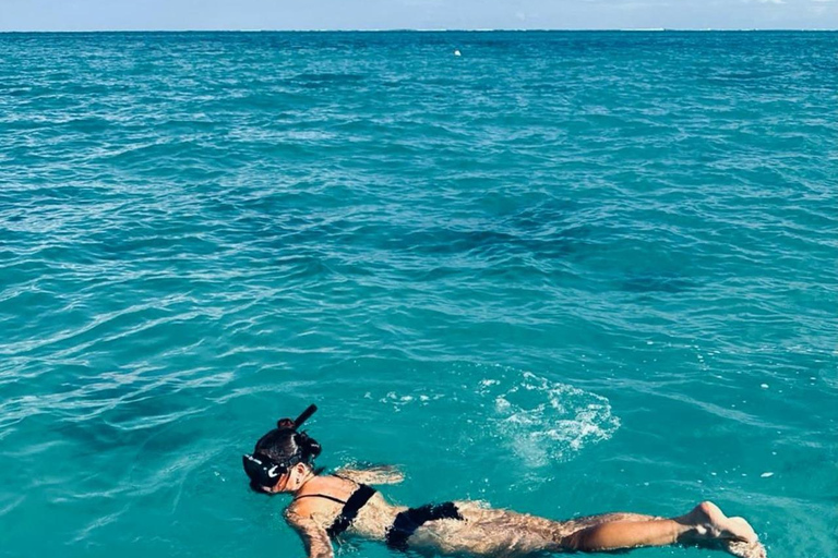 Rencontre avec des dauphins sauvages et plongée en apnée - Ile Maurice.