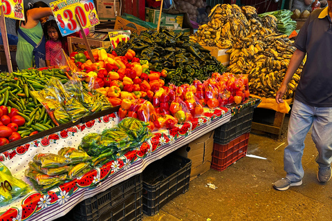 Oaxaca: From Tourist Markets to the Commercial Heart of Oaxaca