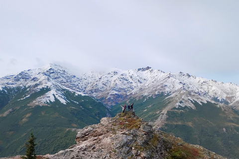 Denali: 5-Hour Guided Wilderness Hiking Tour Denali 4-Hour Hiking Tour