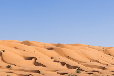 Muscat: Wahiba Sands Desert Sunset 4x4 Tour with Dinner Private Tour