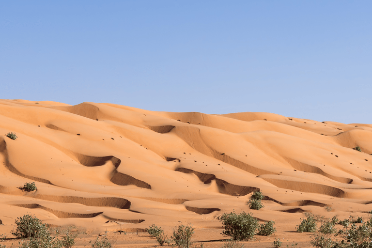 Muscat: Wahiba Sands Desert Sunset 4x4 Tour mit AbendessenGruppenfreundlich