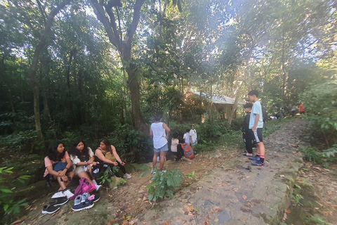 Half day Hiking Cat Ba National Park With guide