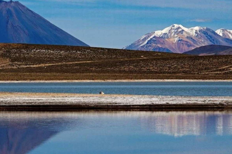 tour Salinas and Yanaorco lagoons-Lojen thermal baths