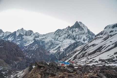 From Pokhara: 7-day Khopra Trekking Adventure The Khopra Trek Adventure with Guide.