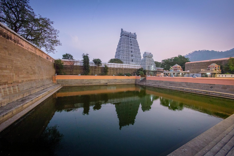 From Chennai: 6-Day Tamil Nadu Temple Tour with Guide