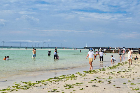 Jeju: UNESCO South & East Highlights 2 Days Combo Tour