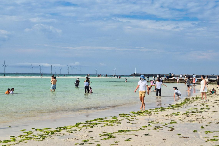 Jeju: UNESCO South & East Highlights 2 Days Combo Tour