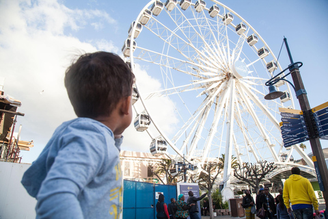 Cape Town: Premium Attractions City Pass with Bus Tour 3 Day Pass