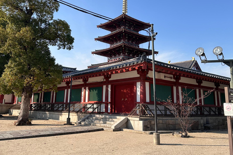 Tour Osaka in Spanish: Visit the must-see sites Tour Osaka: Visit the must-see places