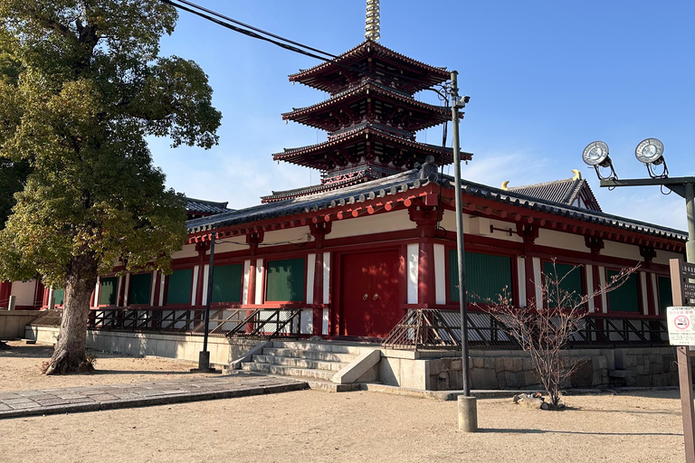 Tour Osaka in Spanish: Visit the must-see sites Tour Osaka: Visit the must-see places