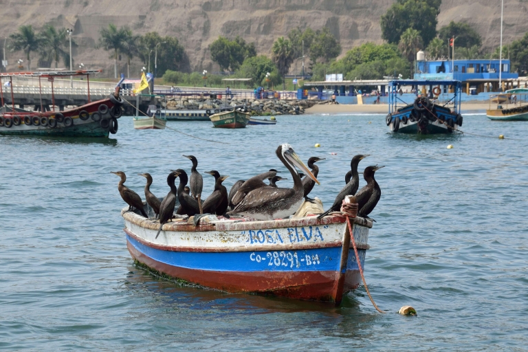 Authentic Lima: Fishing Culture Tour Pick-up from airport or Callao port
