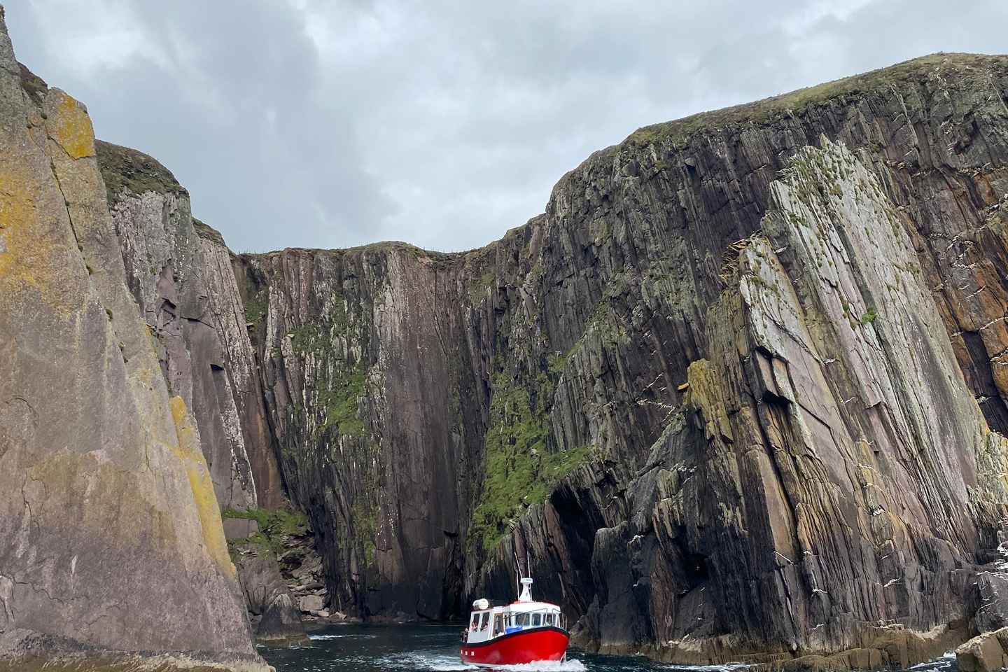 Dingle: Guided Mini Eco Boat Tour (2 Hours)