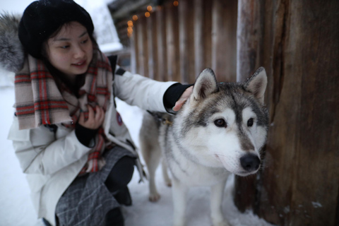 Rovaniemi: Excursión al pueblo de Papá Noel Visita a los huskies y renos