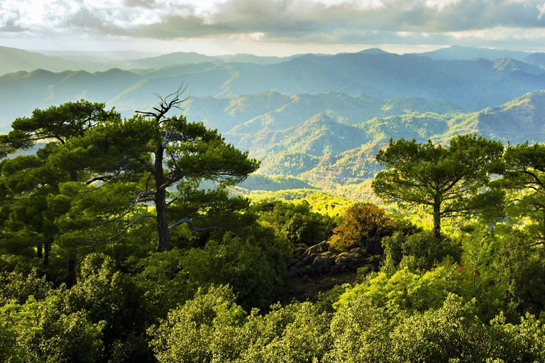 From Larnaca: Troodos Highlights Kykkos, Throni & Kakopetria