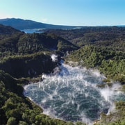 From Rotorua: Wai O Tapu & Waimangu Eco Thermal Morning Tour