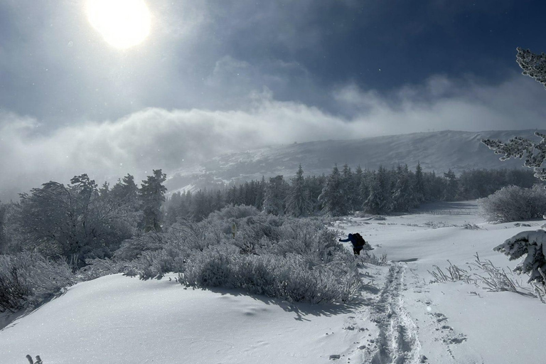 Sofia: Vitosha National Park Snowshoe Hike with Lunch